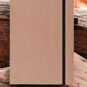 Eco Dairy - D184