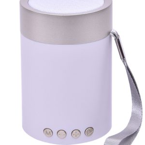 3W Speakers - HUESP-005
