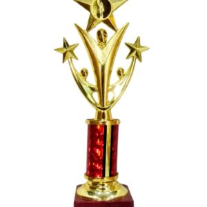 13.5 Inch Trophy & Awards - HUE-TA-002