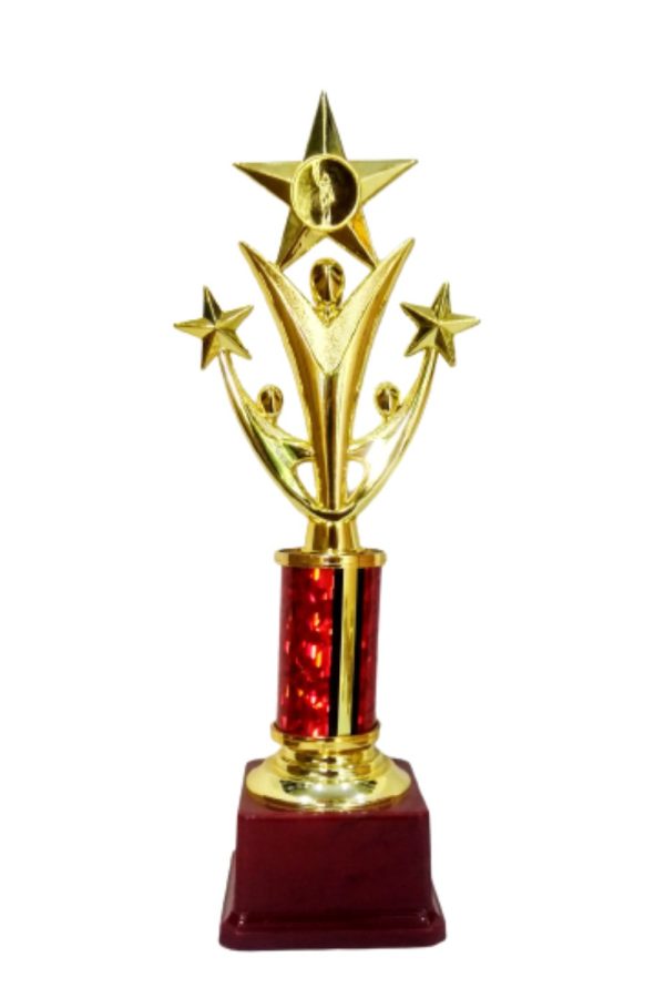 13.5 Inch Trophy & Awards - HUE-TA-002