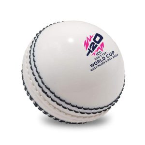 Cricket Ball - HUECB-014