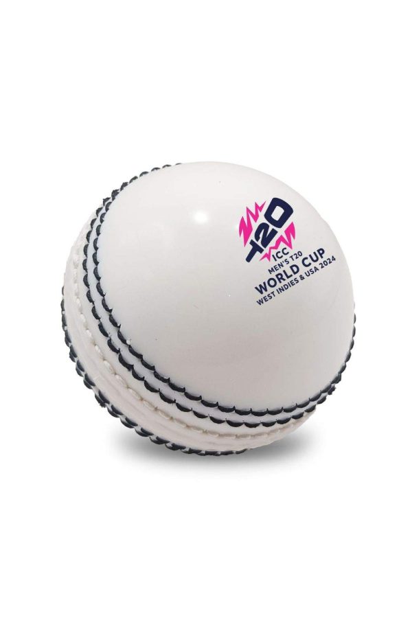 Cricket Ball - HUECB-014