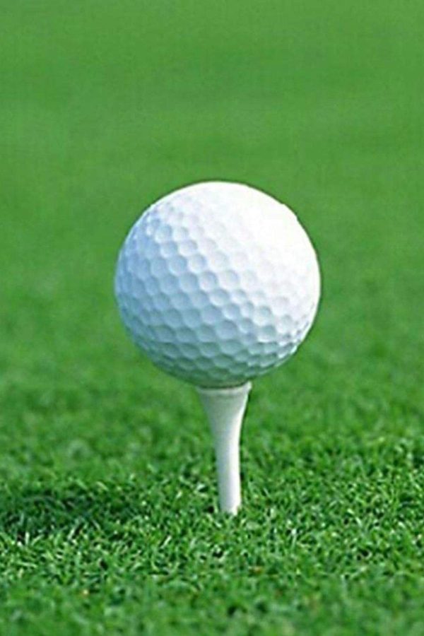 Golf Ball - HUEGB-014 - Image 2