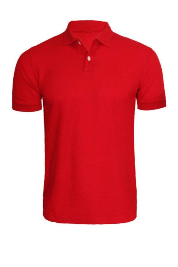 POLO Tshirt - HUEPOLO-003 - Image 2